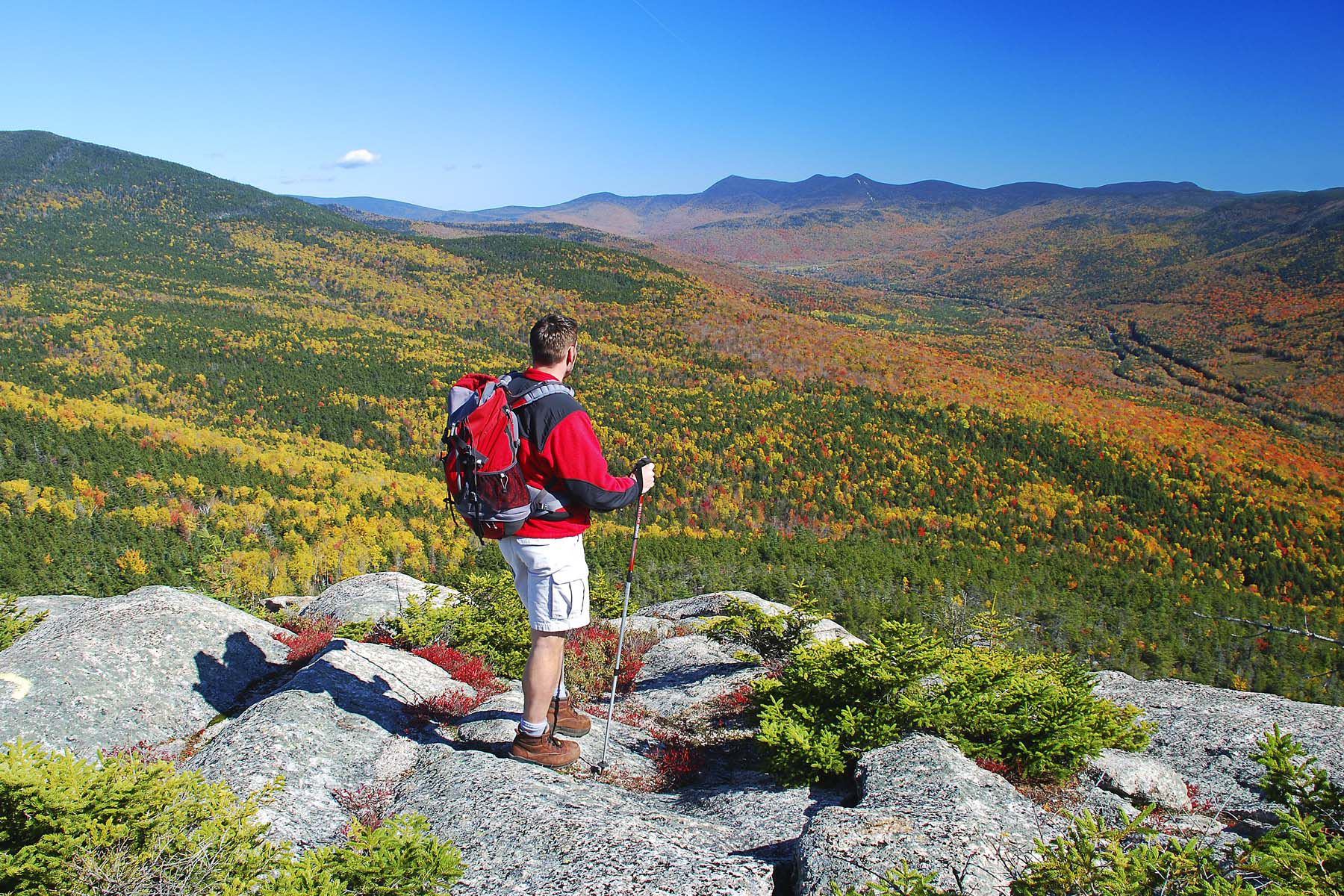 Hiking in the White Mountain National Forest