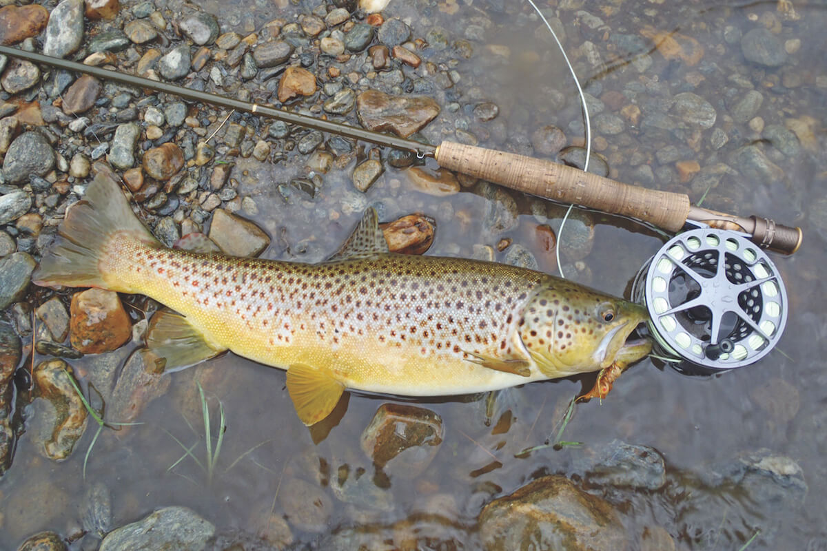 Trout fishing with fly rod on a New Hampshire river